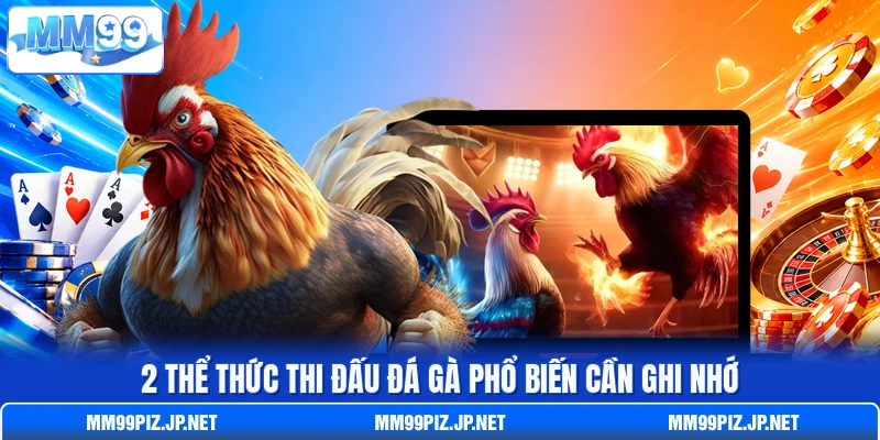 2 thể thức thi đấu đá gà phổ biến cần ghi nhớ