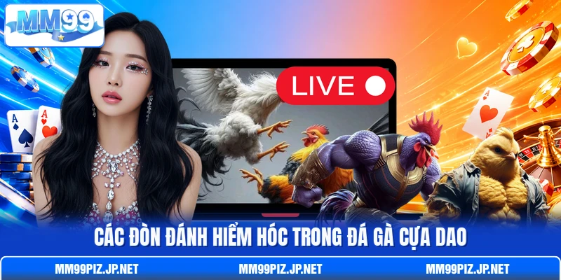Các đòn đánh hiểm hóc trong đá gà cựa dao