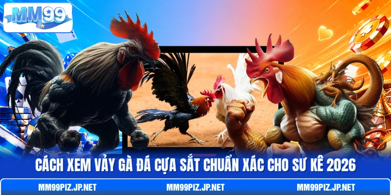 Cách Xem Vảy Gà Đá Cựa Sắt Chuẩn Xác Cho Sư Kê 2026