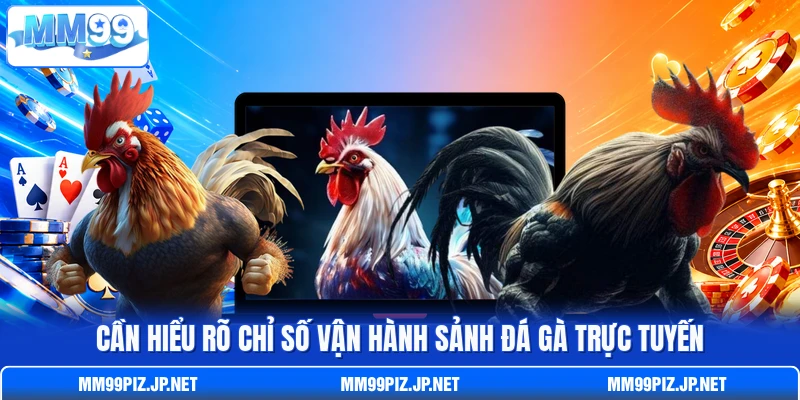 Cần hiểu rõ chỉ số vận hành sảnh đá gà trực tuyến
