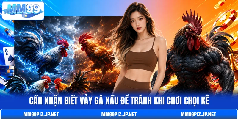 Cần nhận biết vảy gà xấu để tránh khi chơi chọi kê