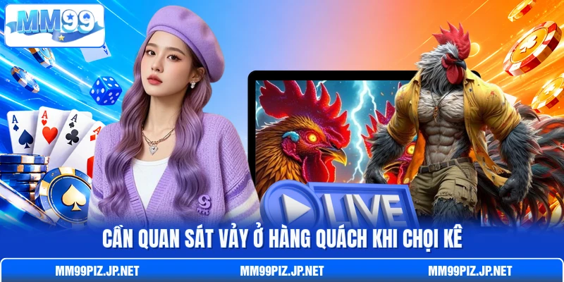 Cần quan sát vảy ở hàng quách khi chọi kê