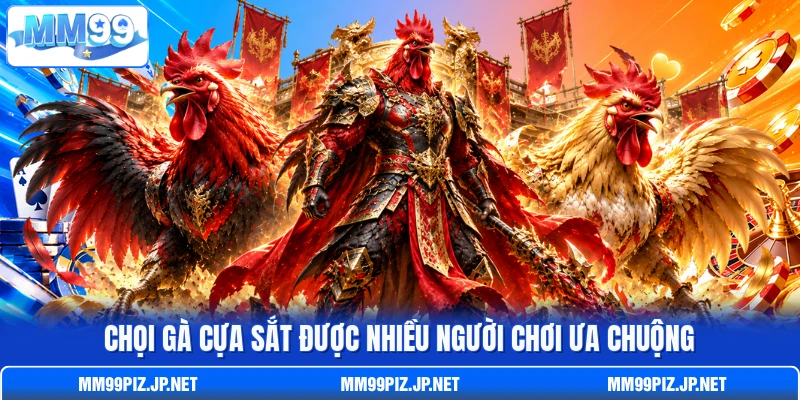 Chọi gà cựa sắt được nhiều người chơi ưa chuộng