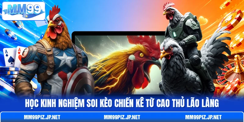 Học kinh nghiệm soi kèo chiến kê từ cao thủ lão làng