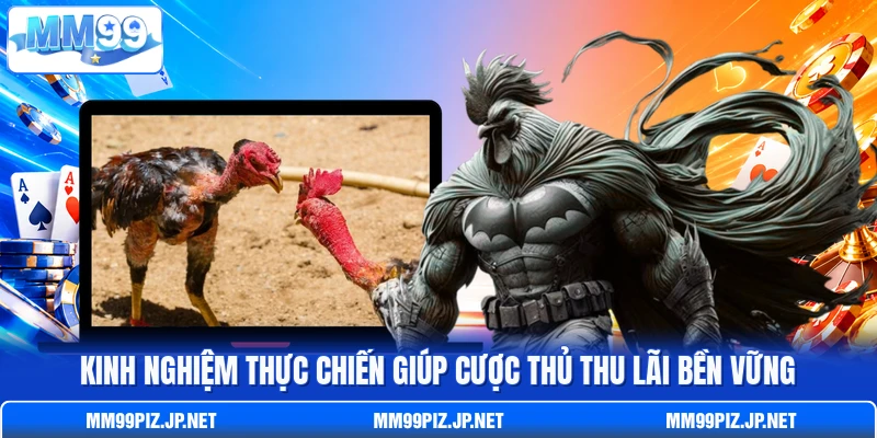 Kinh nghiệm thực chiến giúp cược thủ thu lãi bền vững