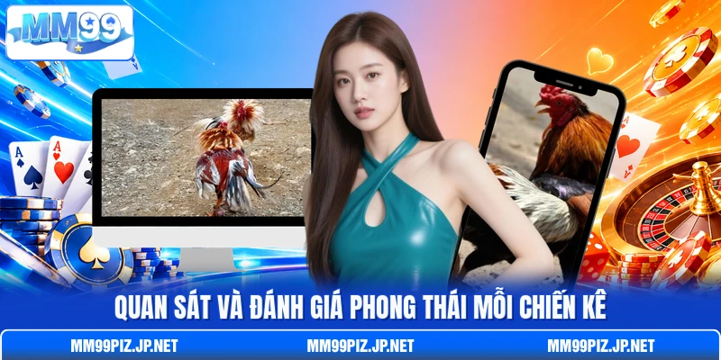 Quan sát và đánh giá phong thái mỗi chiến kê