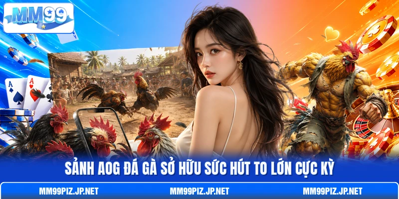 Sảnh AOG đá gà sở hữu sức hút to lớn cực kỳ