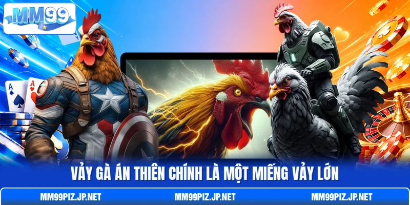 Vảy gà Án Thiên chính là một miếng vảy lớn